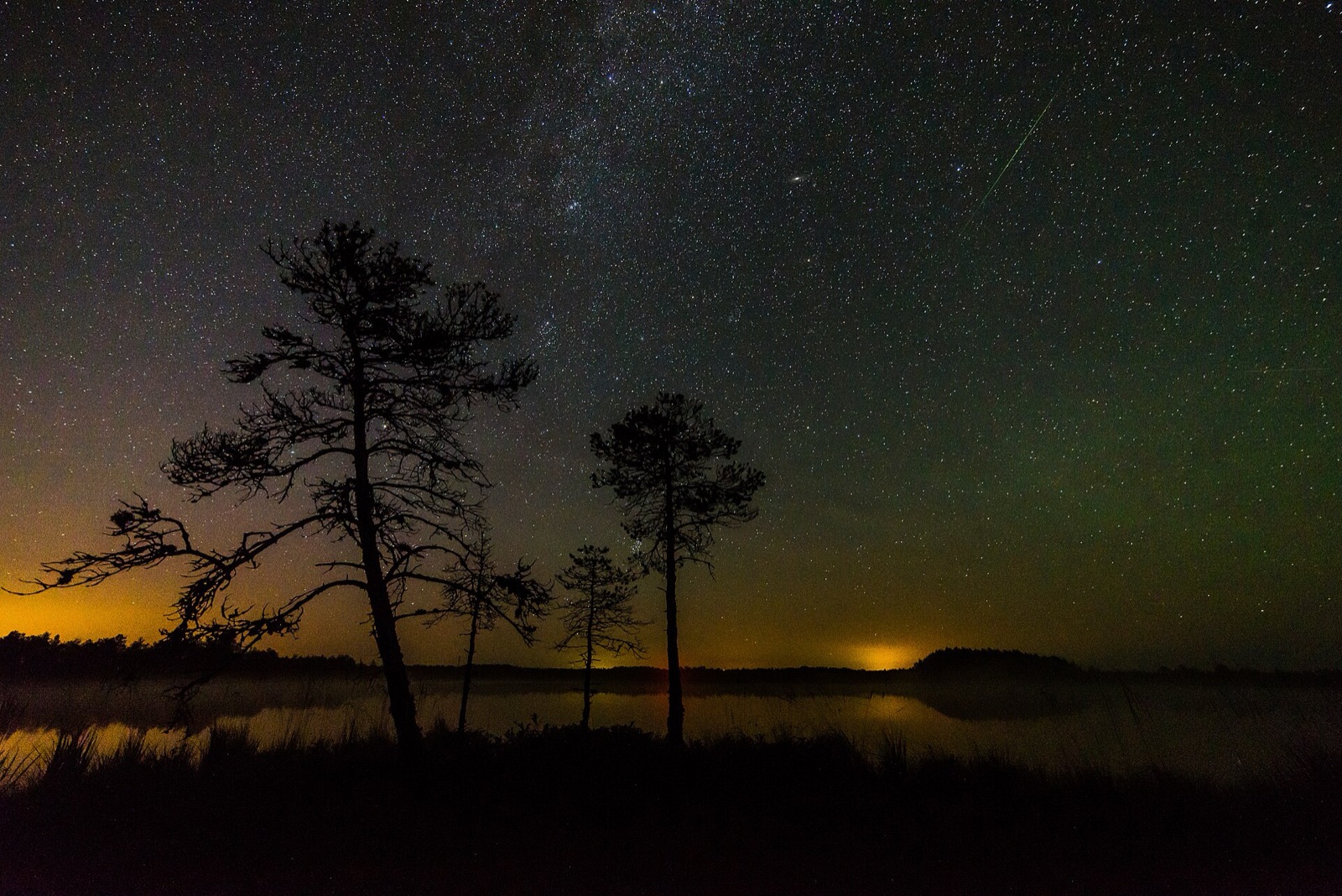 Meteor and Milky Way above silhouetted pines and a bog pool, orange glow on the horizon.