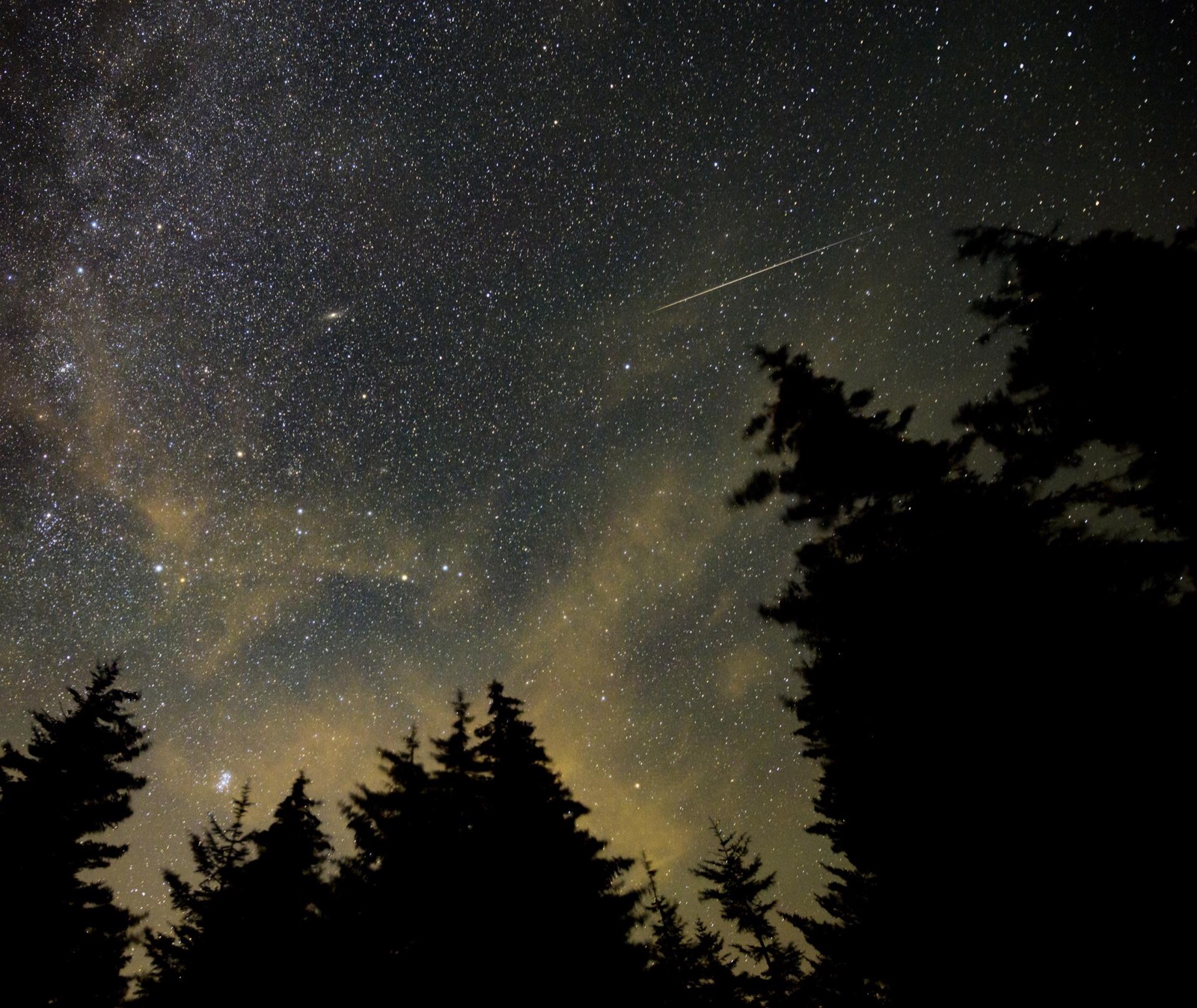 A meteor streak and the Milky Way above silhouetted spruce trees.