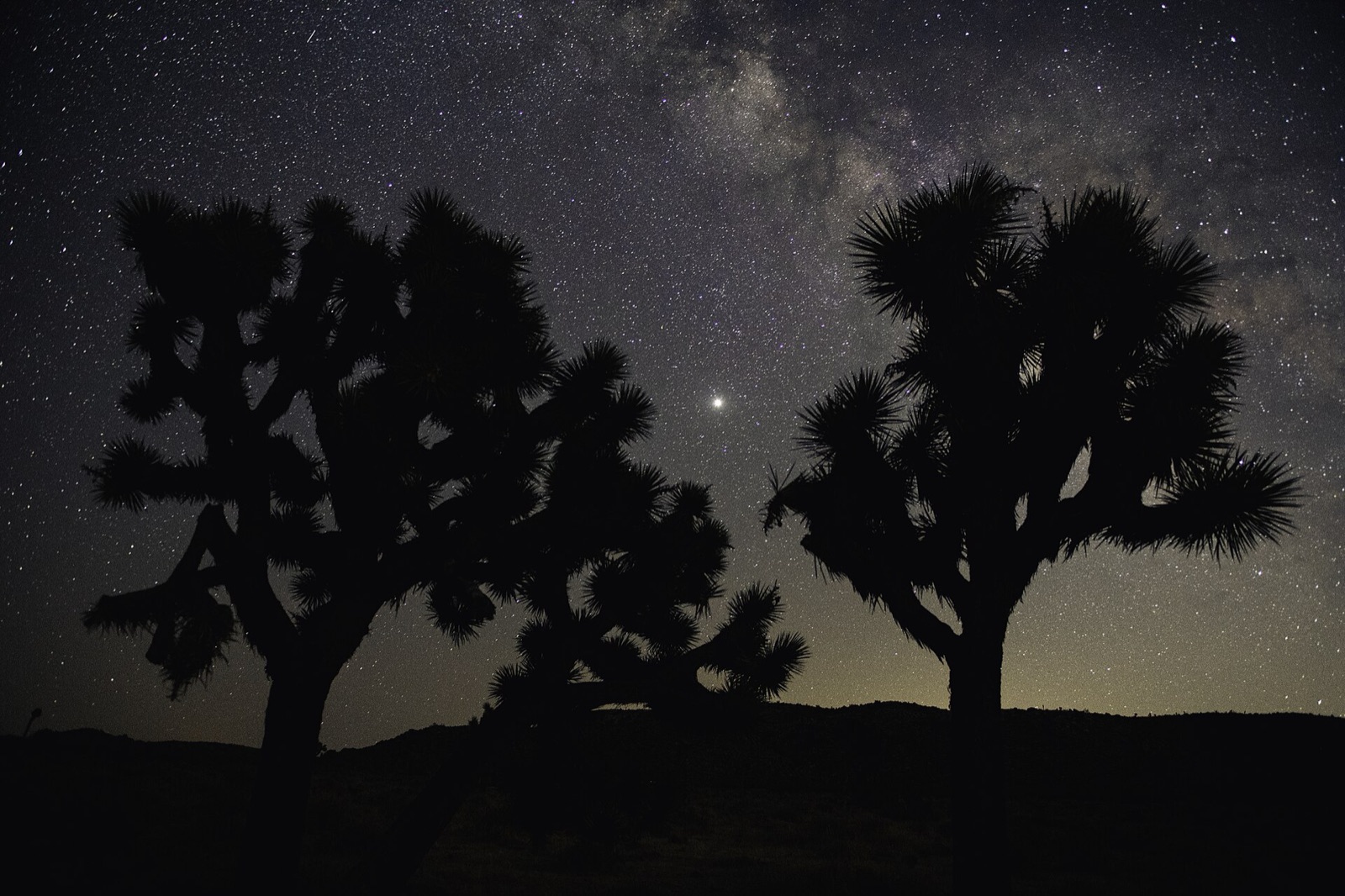 Milky Way behind two silhouetted Joshua trees with a bright planet at left.