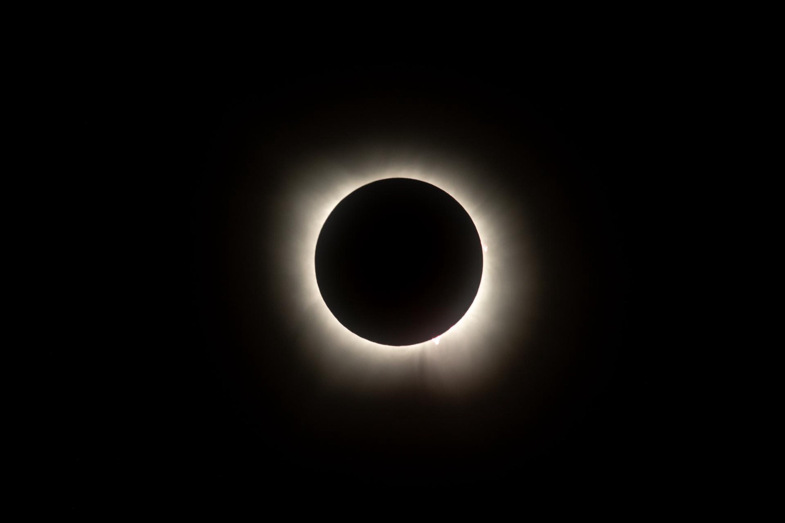 Black Moon disc surrounded by the white solar corona during a total eclipse.